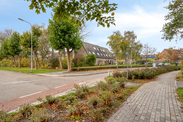 Foto 5 van Roggenplaat 3