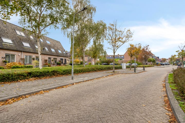 Foto 6 van Roggenplaat 3