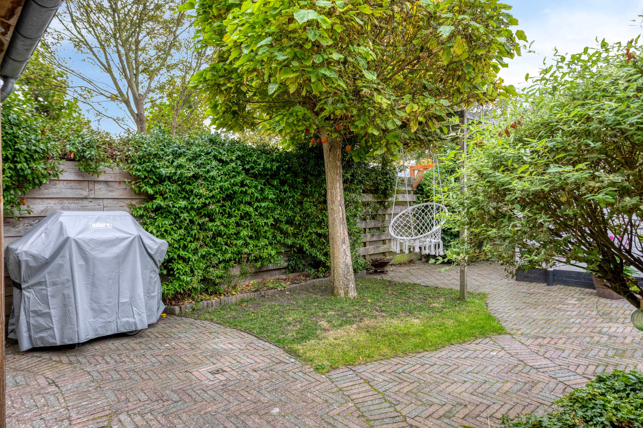 Foto 27 van Roggenplaat 3