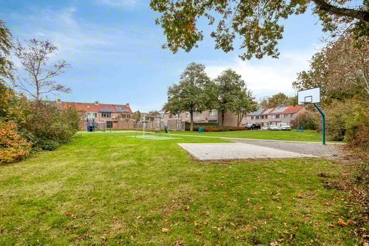 Foto 29 van Roggenplaat 3