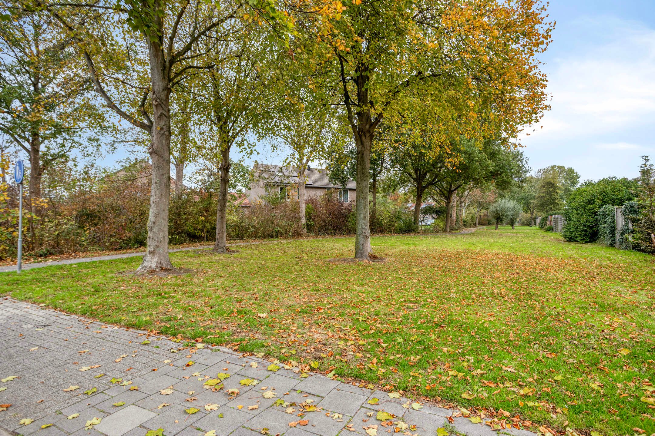 Foto 30 van Roggenplaat 3