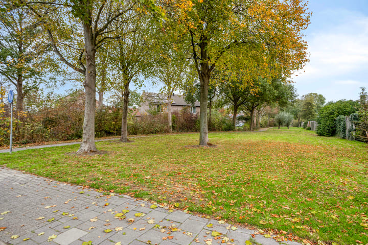 Foto 30 van Roggenplaat 3