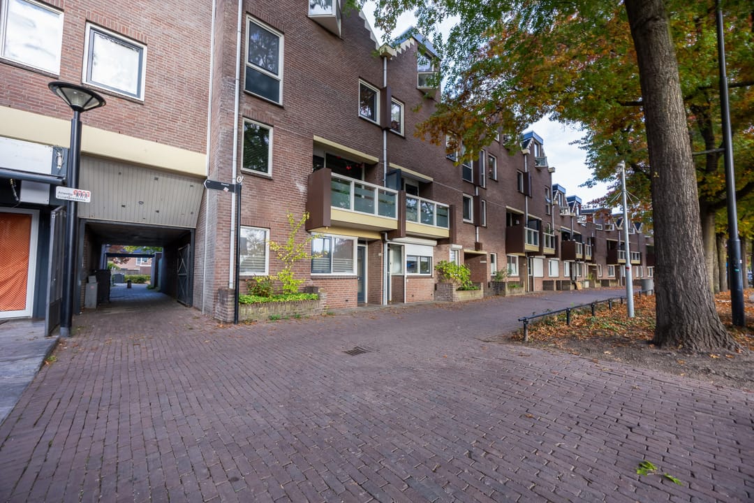 Foto 28 van Terwaenen 68