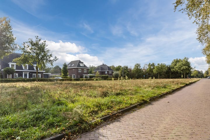 Foto 44 van Driehoek 40