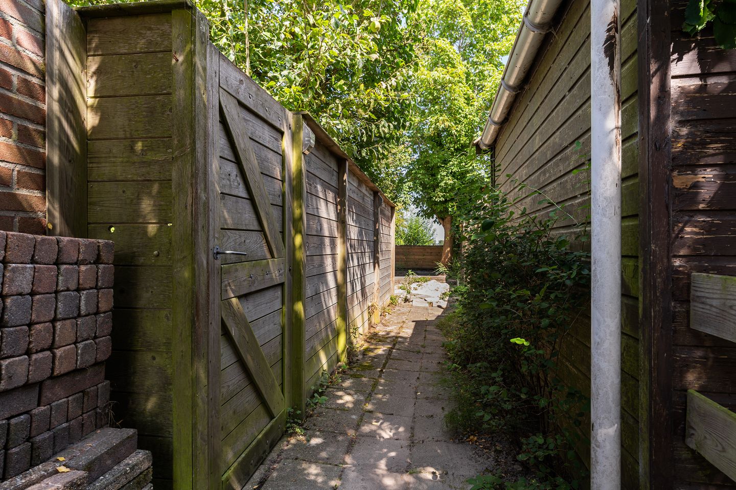 Foto 34 van Finne 77