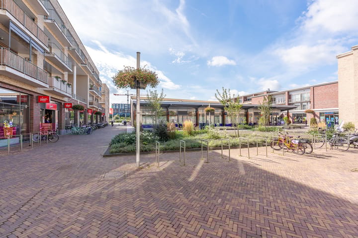 Photo 40 of Edmond Audranstraat 173