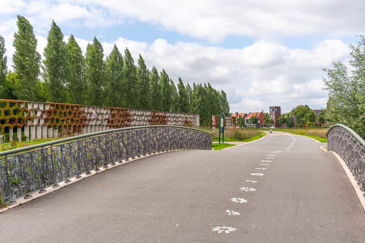 Photo 41 of Edmond Audranstraat 173