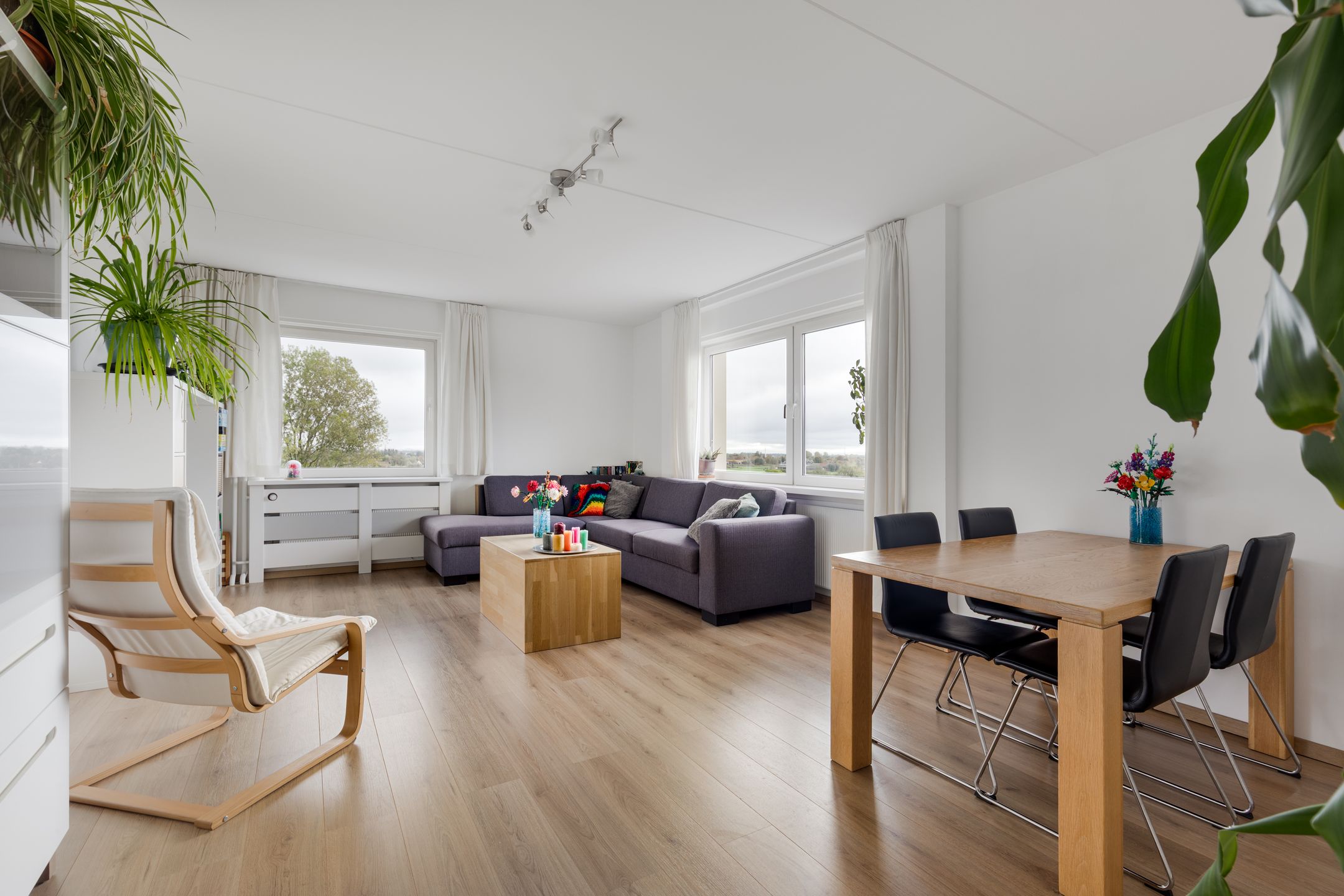 Professor Van der Scheerstraat, 221, Haarlem, 2035AN, Noord-Holland, Nederland 221