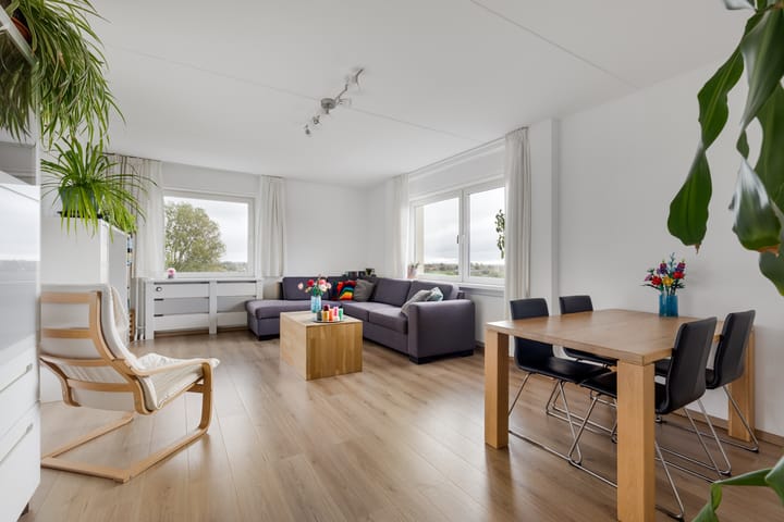 Professor Van der Scheerstraat 221