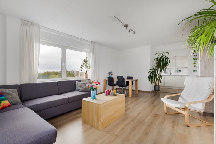 Photo 2 of Professor Van der Scheerstraat 221