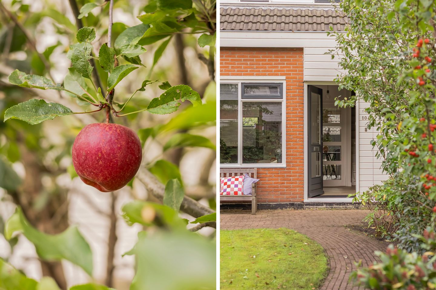 Foto 10 van De Bolle 104