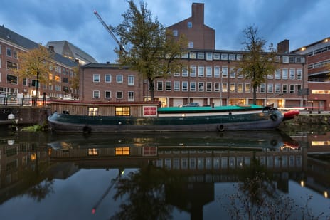 Turfsingel 1039 tertiary image