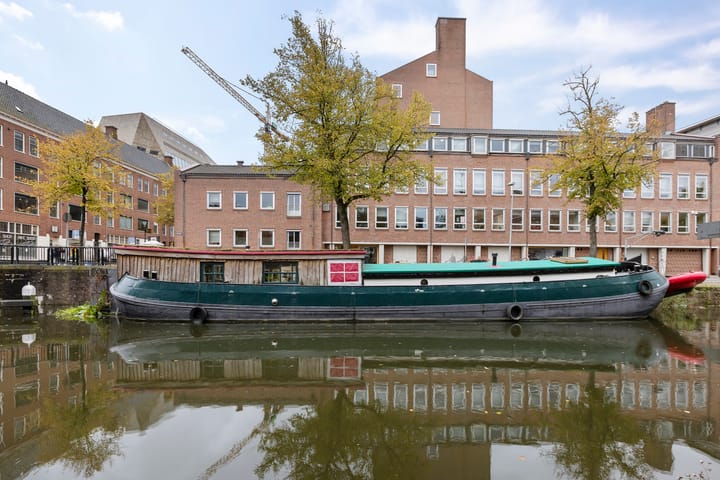 Photo 4 of Turfsingel 1039