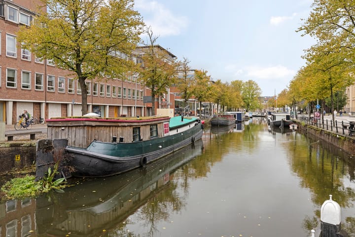 Photo 5 of Turfsingel 1039