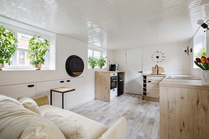 Photo 12 of Turfsingel 1039