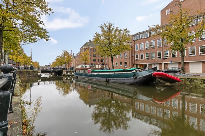 Photo 29 of Turfsingel 1039