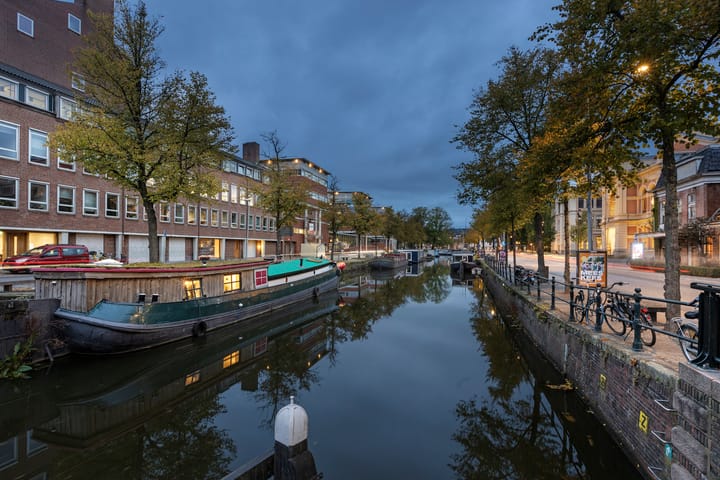 Photo 34 of Turfsingel 1039