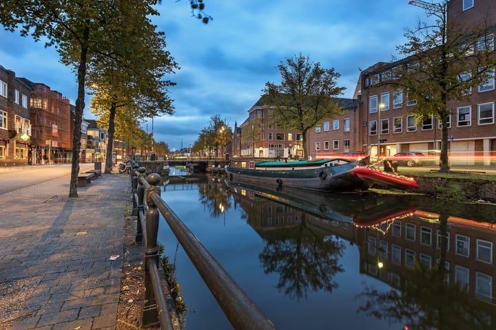 Photo 35 of Turfsingel 1039