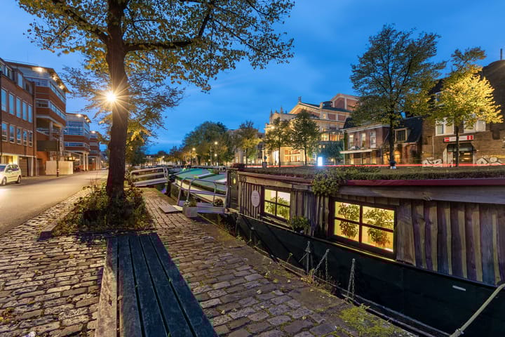 Photo 36 of Turfsingel 1039