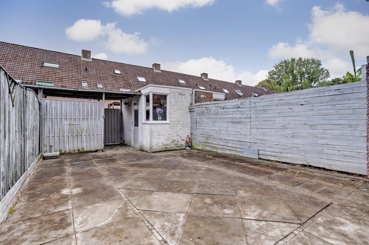 Foto 33 van Dammolen 53