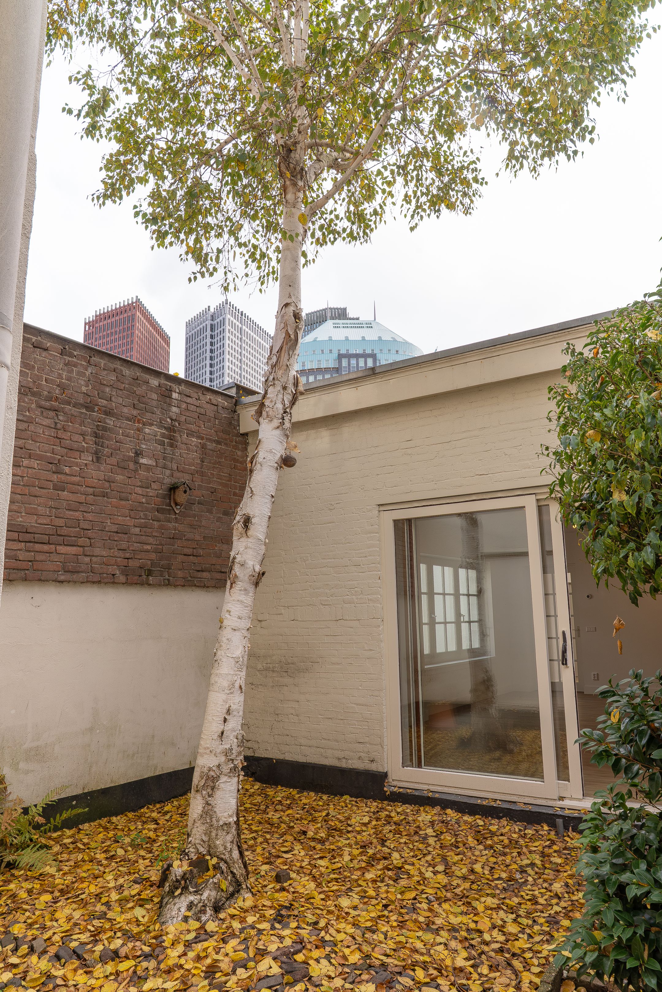 Foto 12 van Koediefstraat 11-D