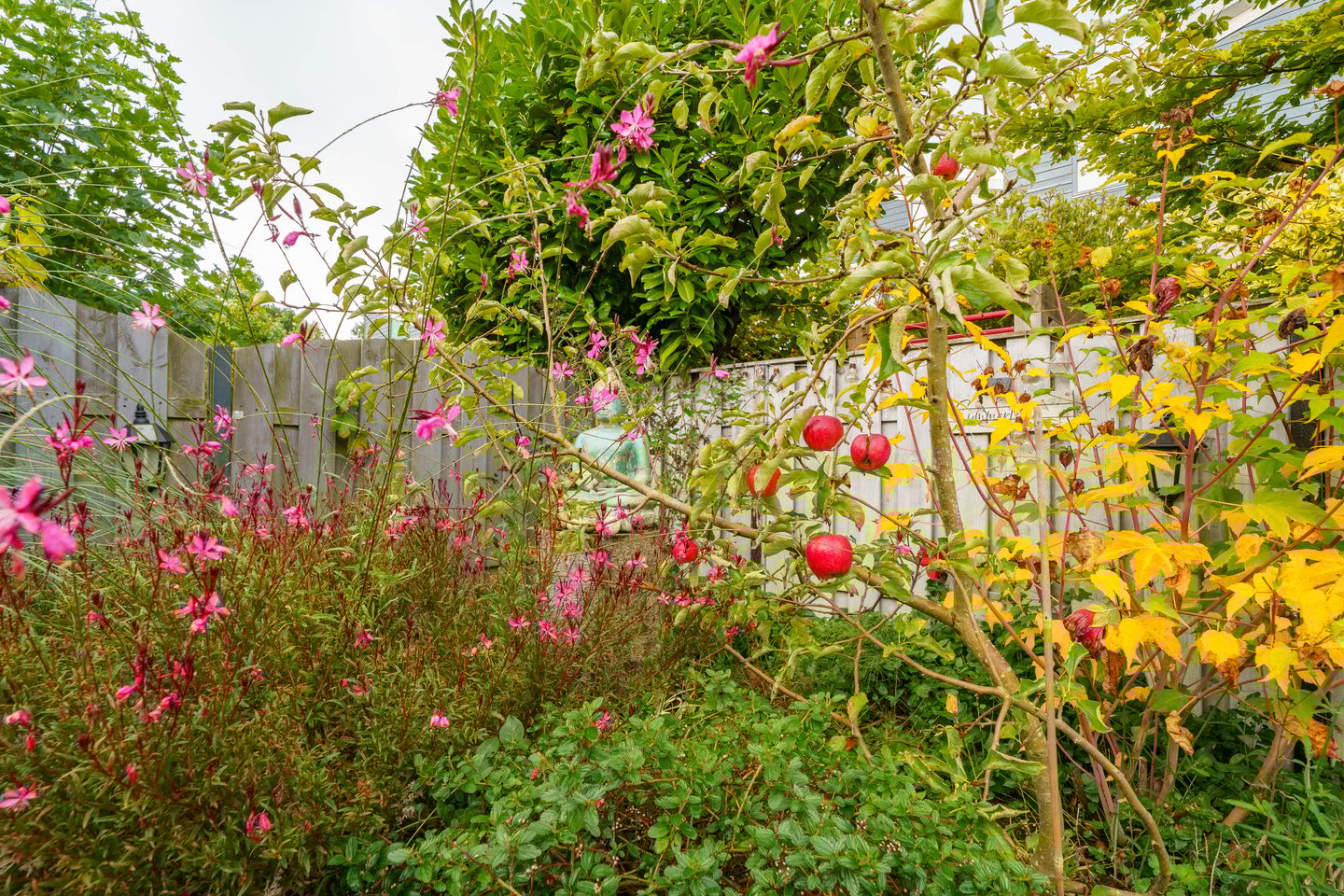 Foto 29 van Pieter Brueghelstraat 9