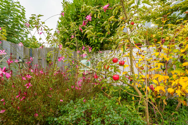 Foto 29 van Pieter Brueghelstraat 9