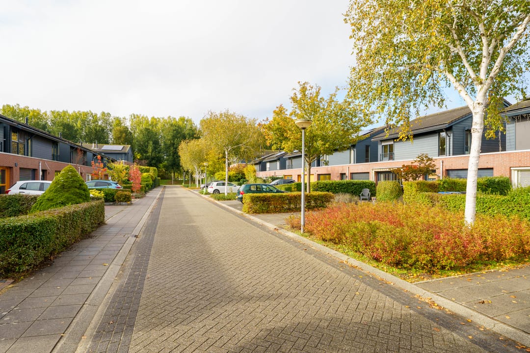 Foto 37 van Pieter Brueghelstraat 9