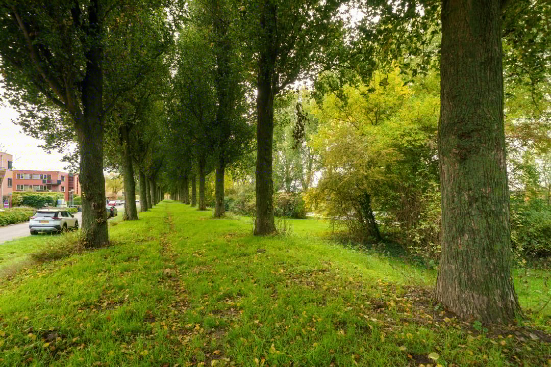 Foto 38 van Pieter Brueghelstraat 9