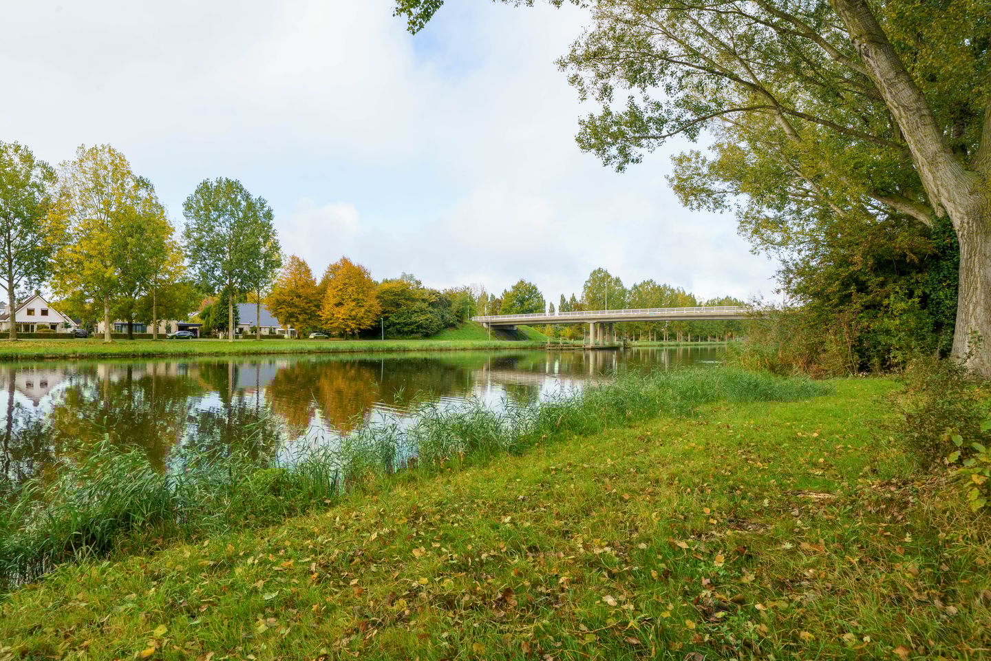 Foto 40 van Pieter Brueghelstraat 9