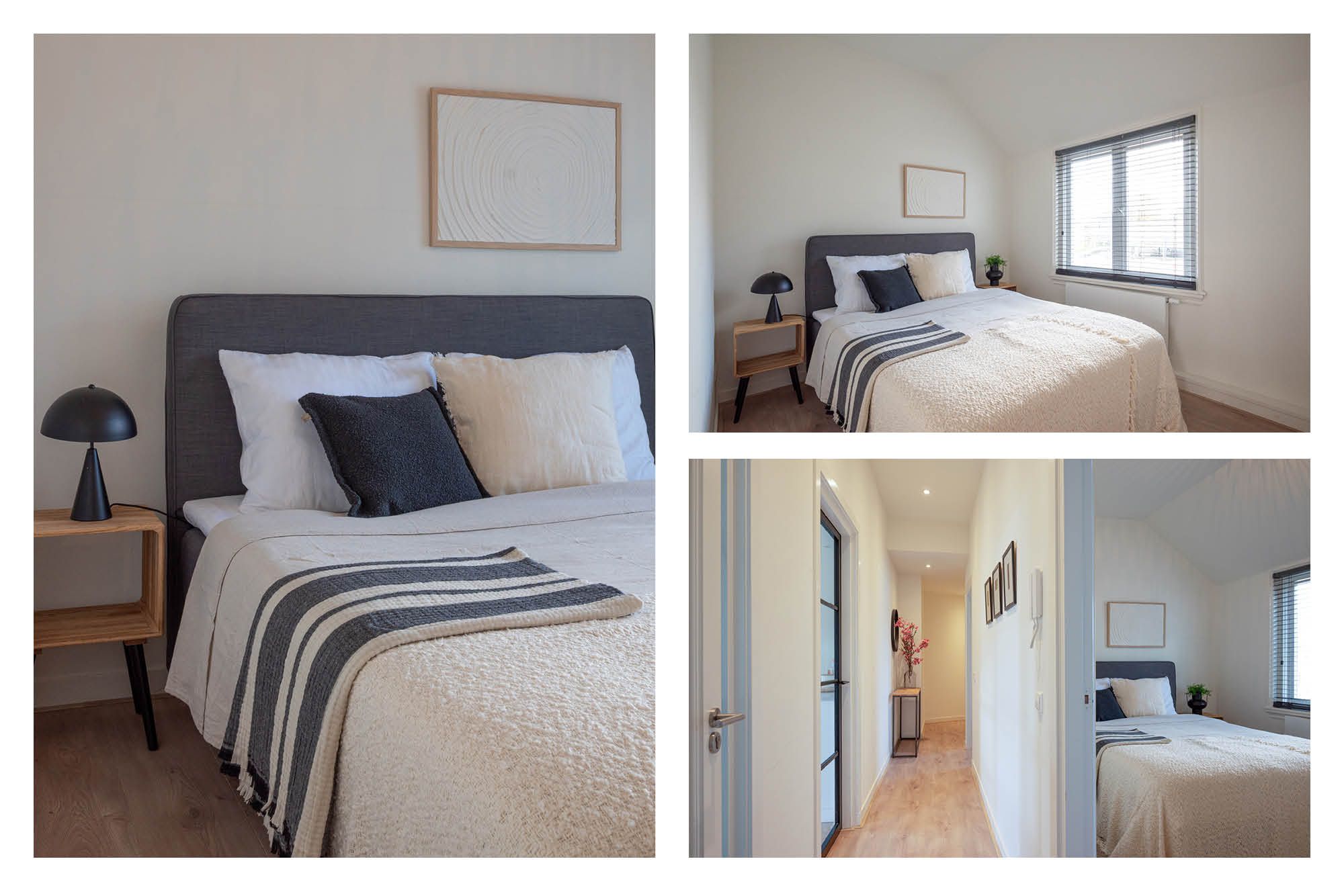 Foto 21 van Nassaustraat 12-B