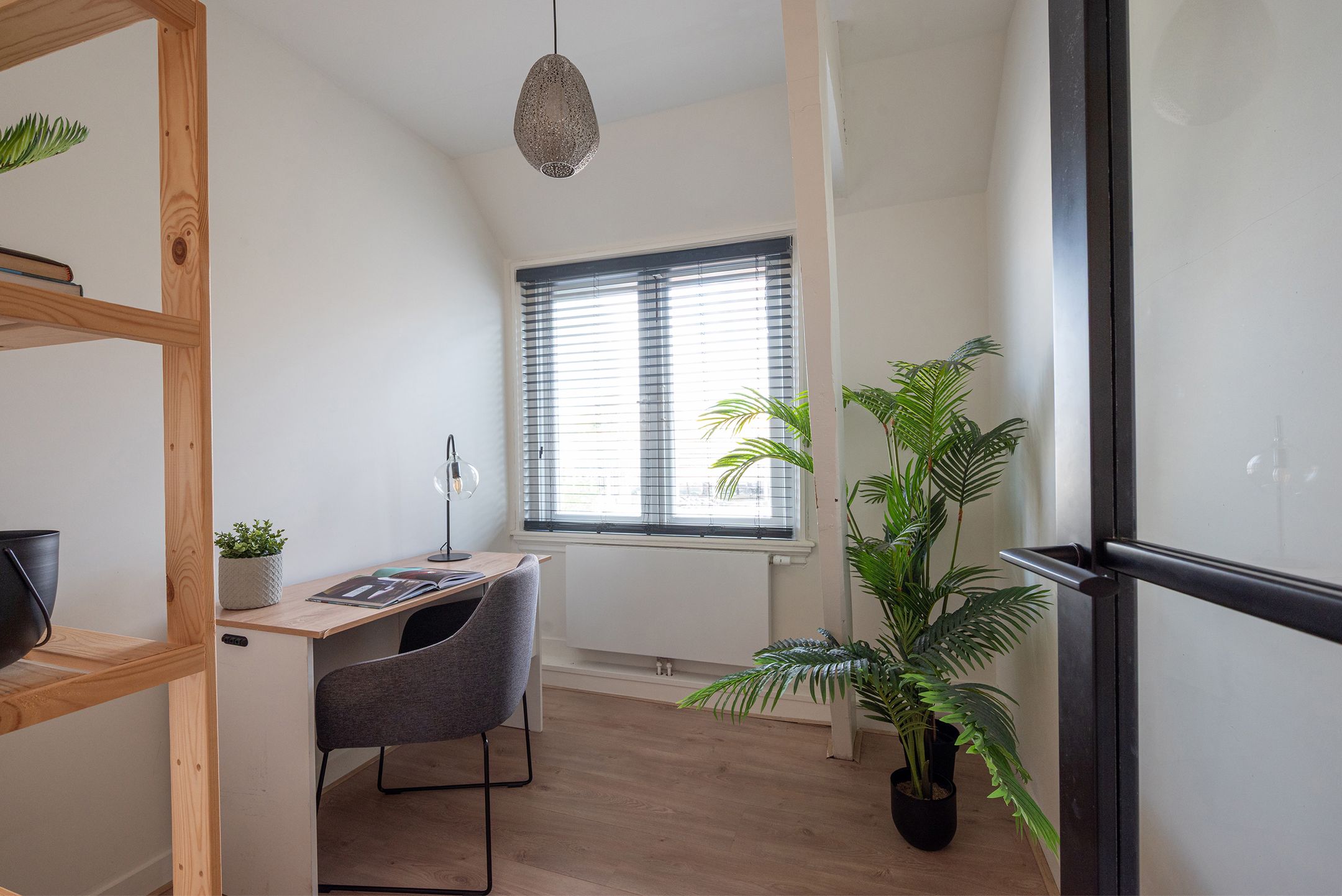 Foto 24 van Nassaustraat 12-B