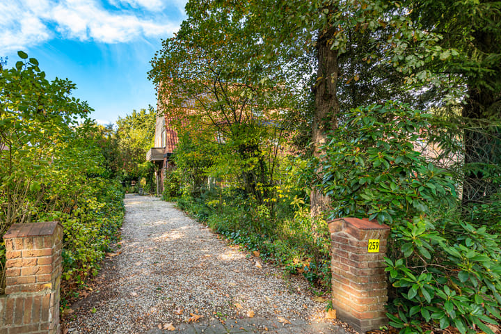 Foto 3 van Traaij 259