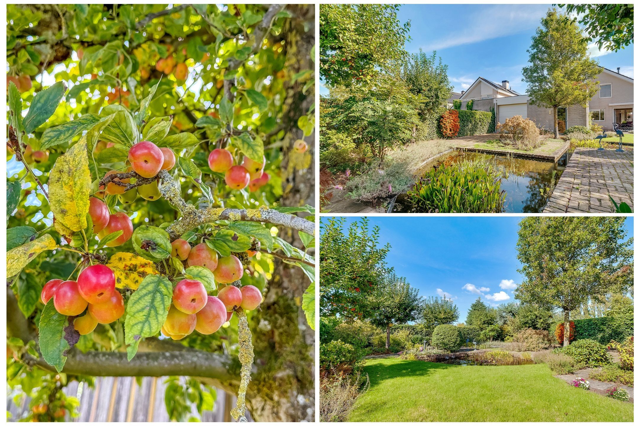 Foto 42 van Hoofdweg 1137