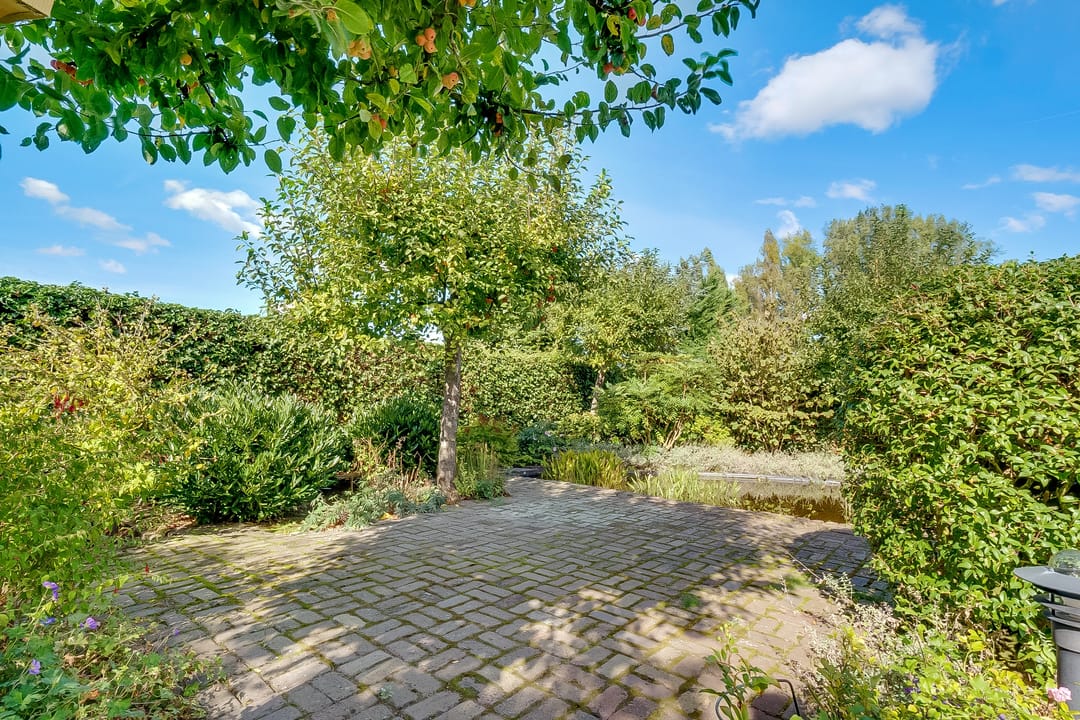 Foto 46 van Hoofdweg 1137