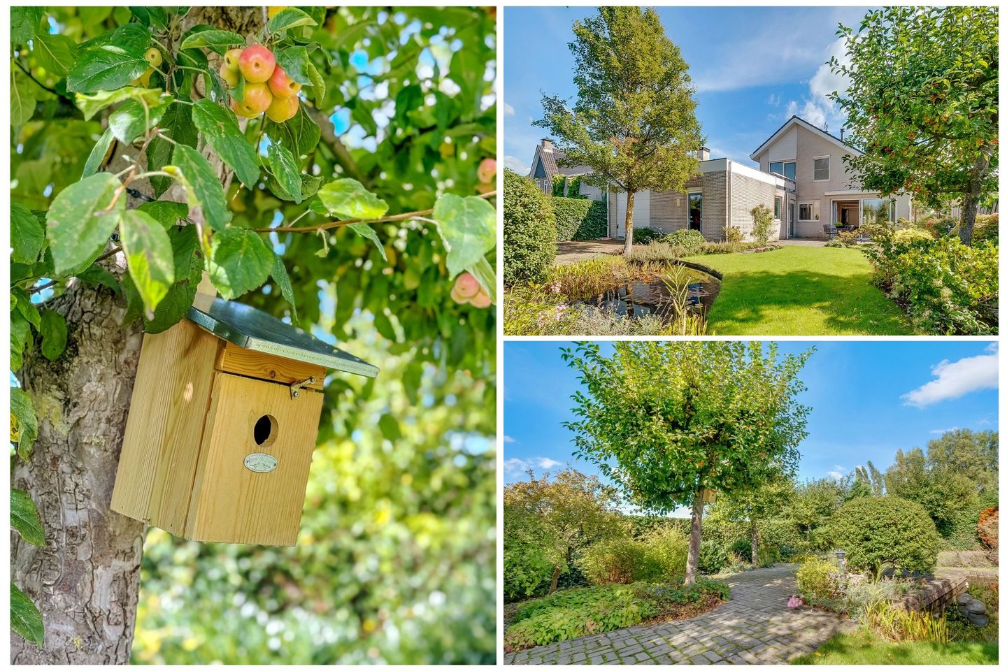 Foto 50 van Hoofdweg 1137