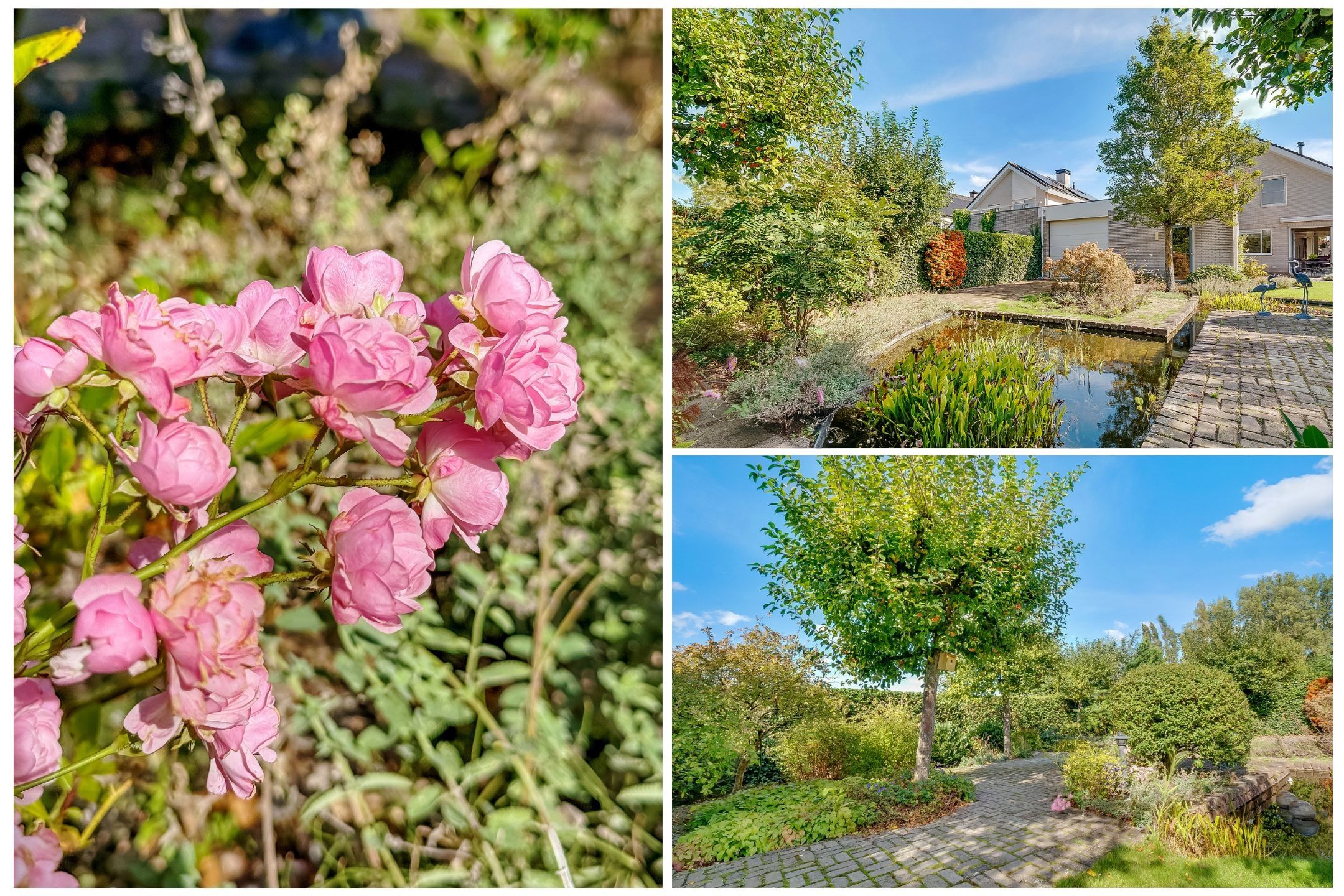 Foto 51 van Hoofdweg 1137