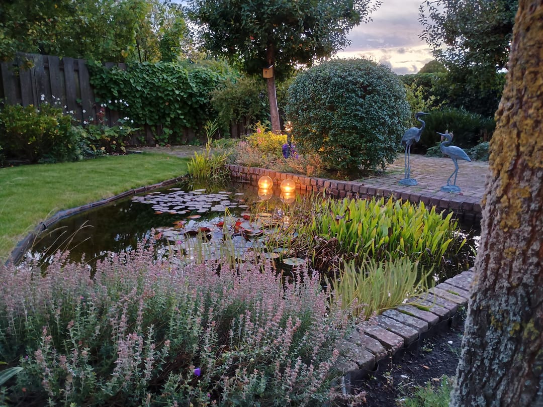 Foto 52 van Hoofdweg 1137