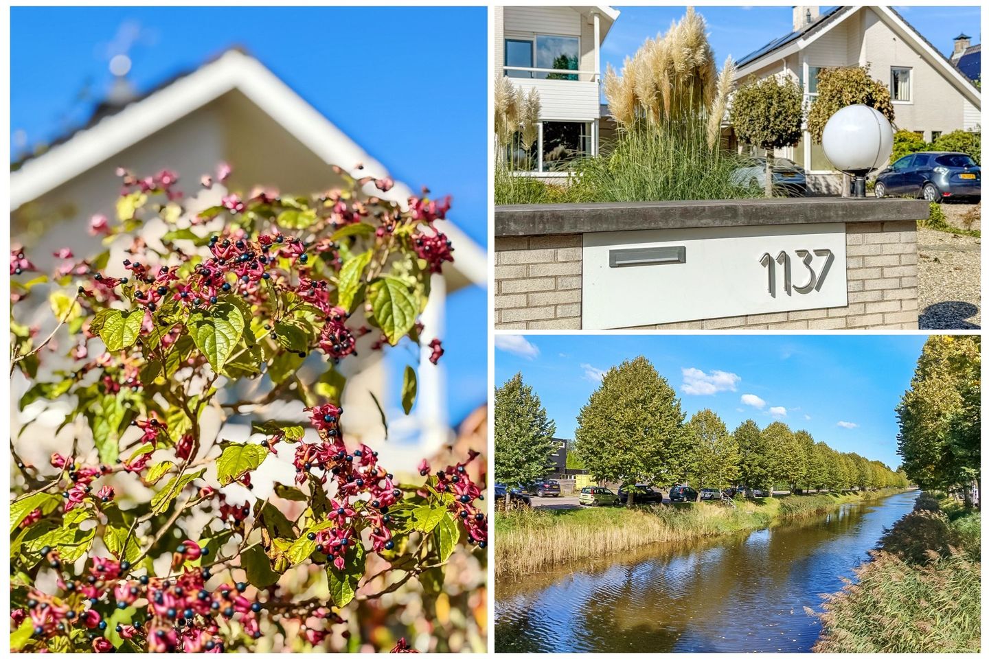 Foto 59 van Hoofdweg 1137