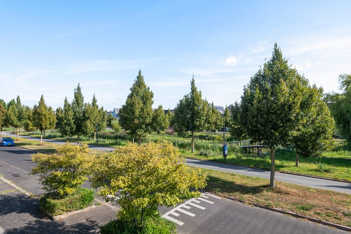 Photo 19 of Dijkgraaf 7