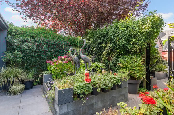 Photo 35 of Dijkgraaf 7