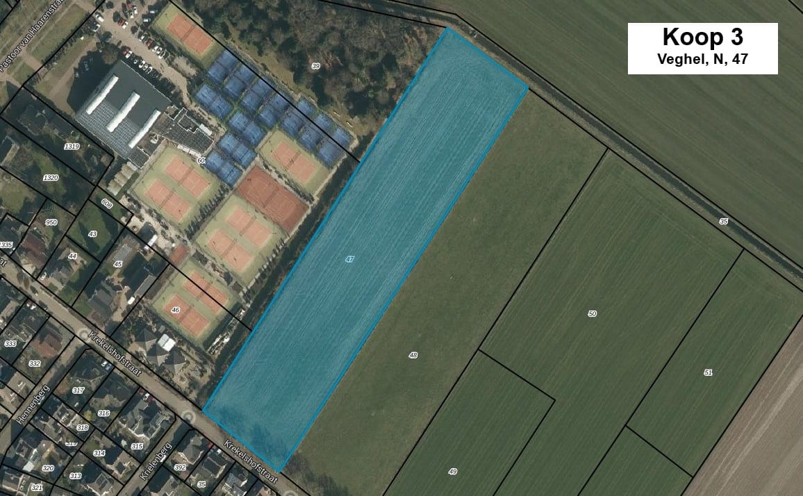 Bekijk foto 4 van Udenseweg ong.