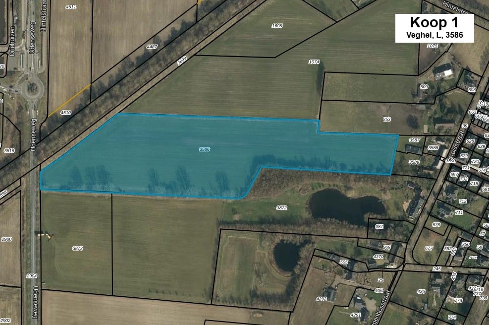 Bekijk foto 2 van Udenseweg ong.