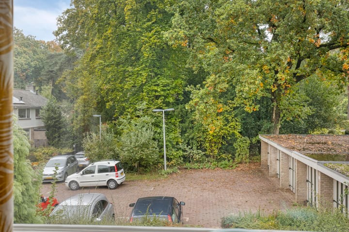 Foto 40 van St. Caeciliapad 37