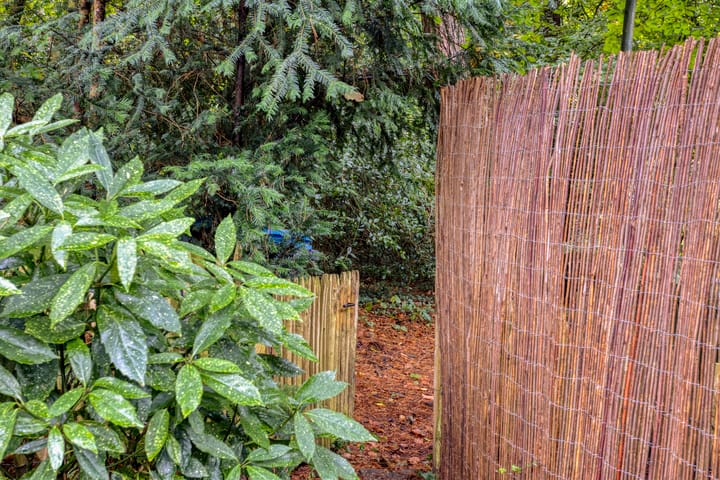 Foto 21 van St. Caeciliapad 37