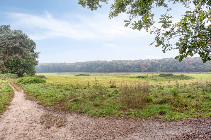 Foto 60 van St. Caeciliapad 37