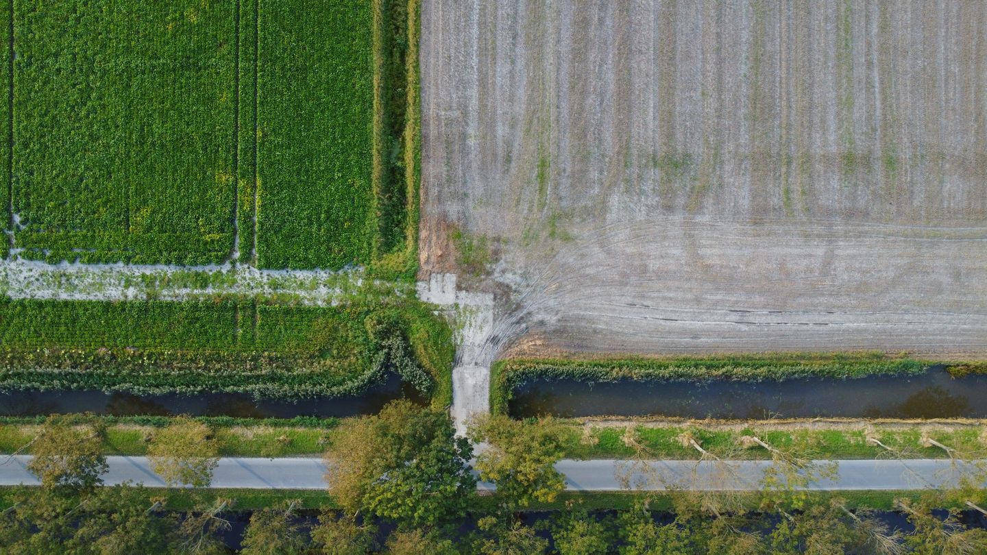 Bekijk foto 3 van Jisperweg