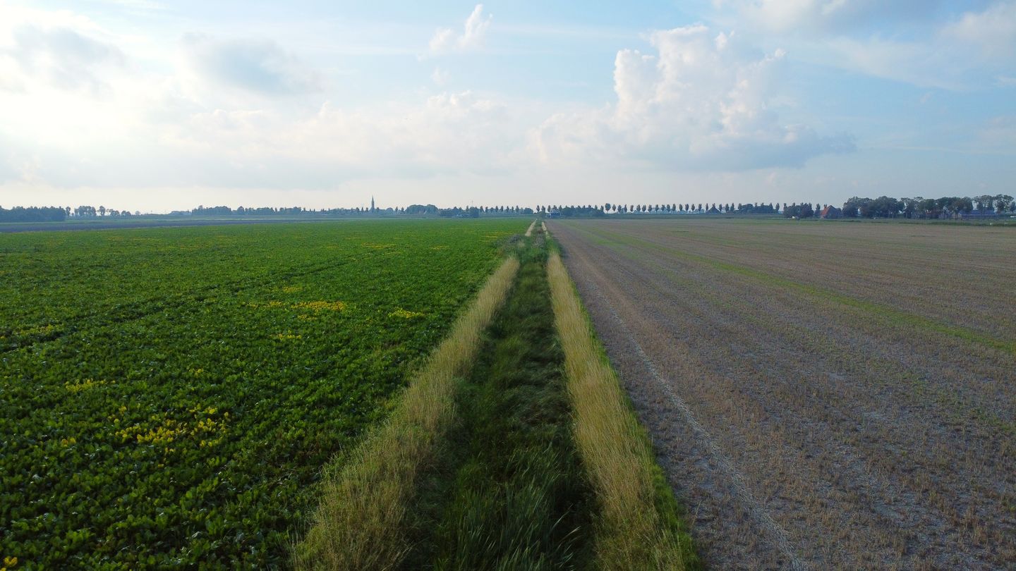 Bekijk foto 4 van Jisperweg
