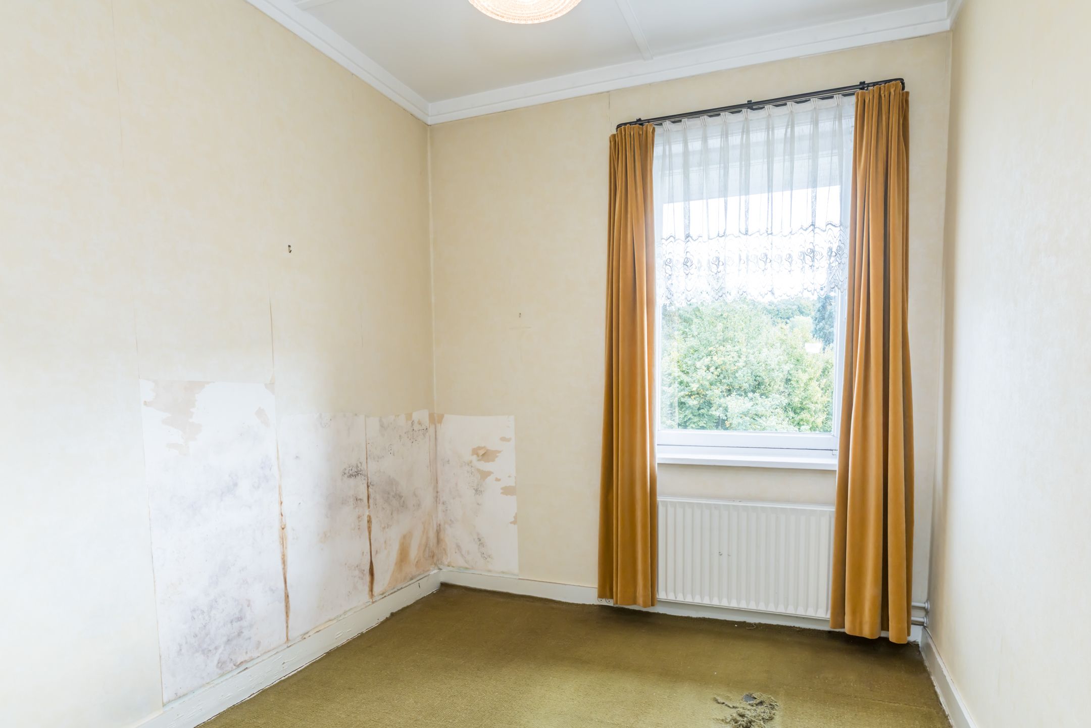 Foto 24 van Molenweg 31