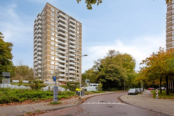 Foto 3 van Nachtwachtlaan 471